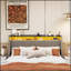 Élégante base de lit avec lumières à DEL et tête de lit à oreilles, grand espace de rangement pour les chambres modernes-2030544081-2030544080