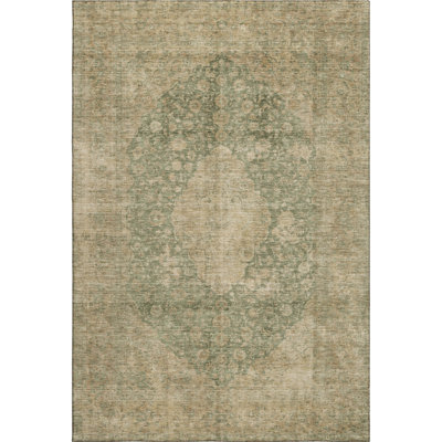 Premium Machine Washable Honig AMF1657 Global Rug