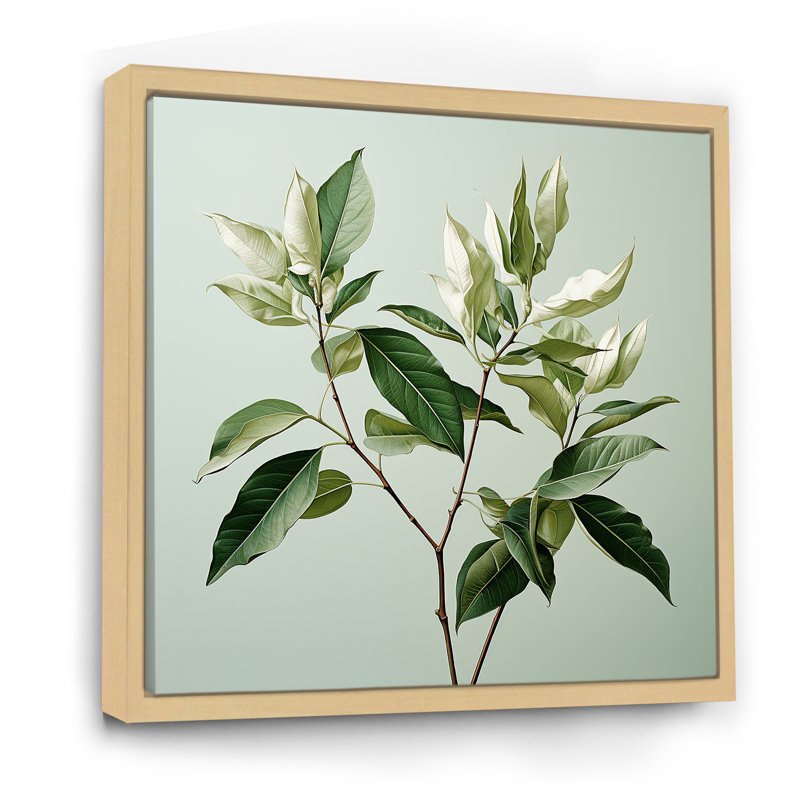 Menthe fraîche, minimalisme, feuilles, sérénité, H 24 po x l 24 po x P 1 po, Cadre naturel flottant