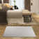 Conwyn Striped Machine Woven Polyester Area Rug in Beige