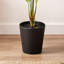 Anneloes 70cm Faux Palm Tree in Pot Liner