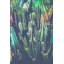 Ann Barnes - Wrapped Canvas Print-20384614