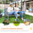Gray 56" 2 Outdoor Wood Bench With And Armrest For Patio, Porch, Poolside, Balcony Balcony,