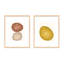 No. 183 & 192, Set Of 2 Print by Katy Montica-126885171-126885175