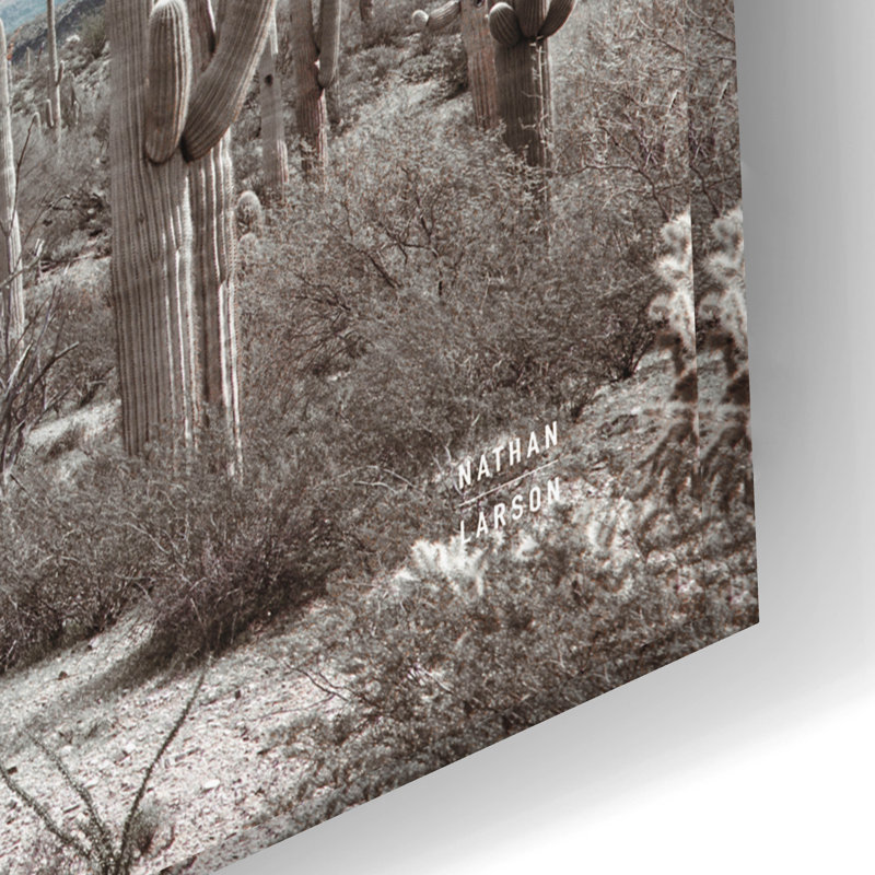  «Sonoran Wonderland» par Nathan Larson, art mural en verre acrylique, 36 po x 24 po, H 16 po x l 24 po x P 0,2 po