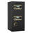 Large Double-Door Coin-Operated Safe