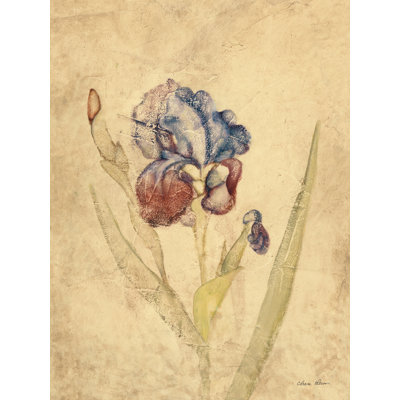 " Rose Violet Iris " by Cheri Blum