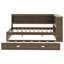 Lit de jour en bois avec tablettes de rangement, USB, DEL et lit gigogne-1525030522