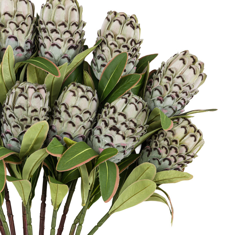 Arrangement