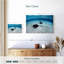 Raie sous l'eau Crowle-111838828