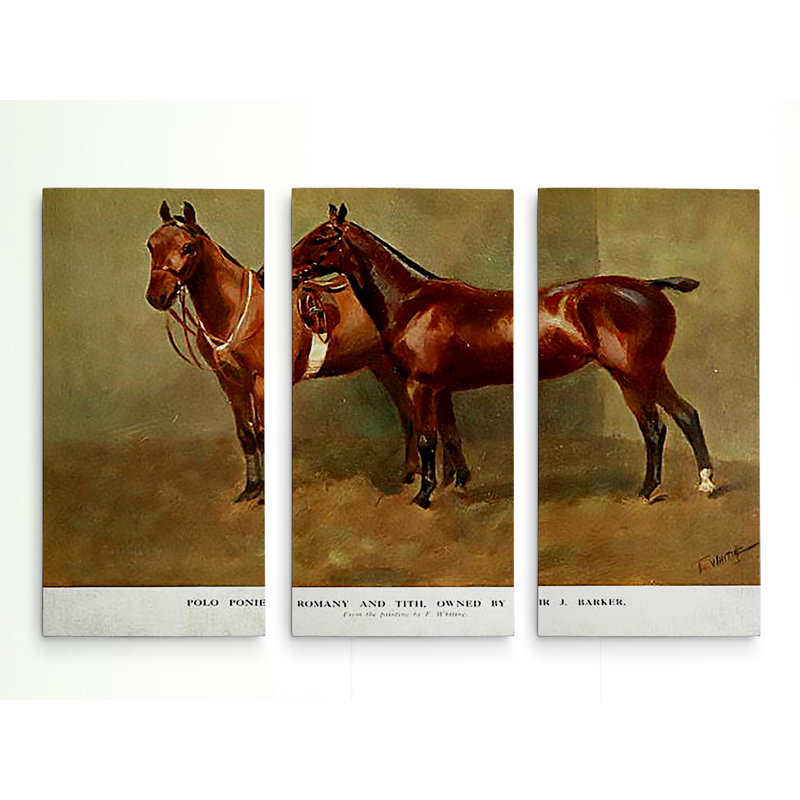 3 - Pieces, 24" H x 36" W x 1.5" D