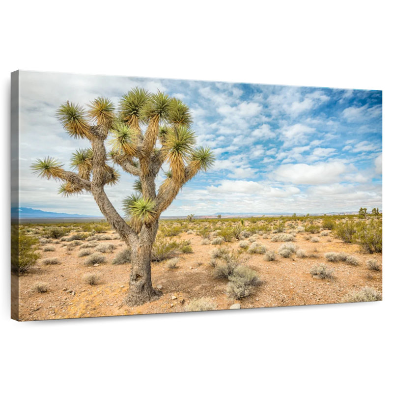 Harnek Joshua Tree In Nevada, 34" H x 51" W