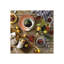 1815 Brights 16 Pc Set
