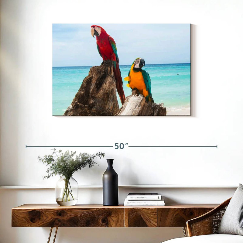 Brampt Resting Macaws, 24" H x 36" W