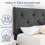 Structure de lit tapissier Tinela