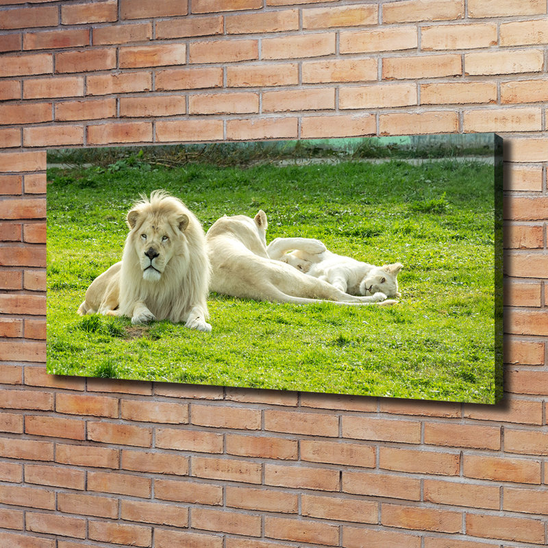 Beige Lions - Wrapped Canvas Print, Wrapped Canvas, 60cm H x 120cm W