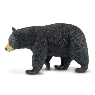 Ours noir