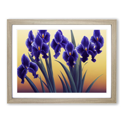 Excellent Iris Flowers - Framed Print