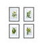 Ensemble de 4 fleurs murales botaniques