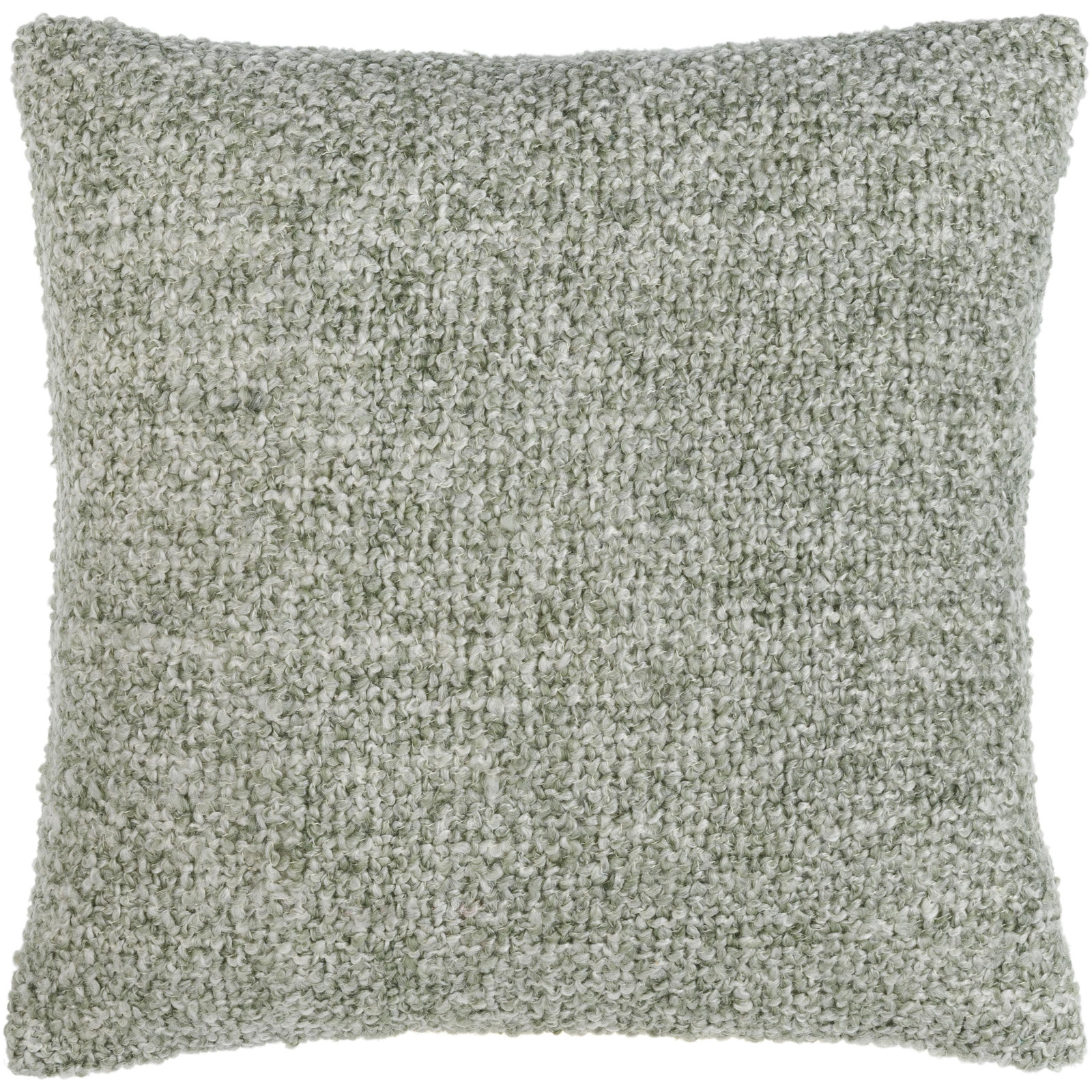 Tamari Polyester Throw Pillow, 20"H x 20"W, Down, Green
