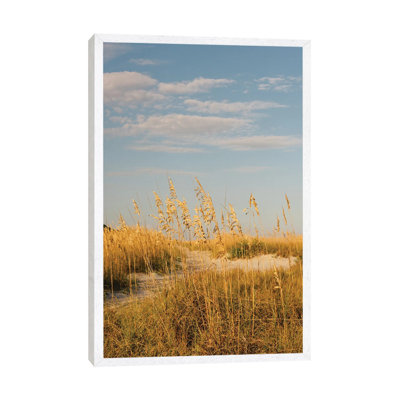 Hilton Head Island II by Bethany Young - Print on Canvas