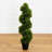 Grass Spiral Topiary