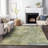 Machine Washable Indoor/Outdoor Jocelyn ACN2143 Abstract Rug-302442160