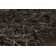 Faust Indoor Rug