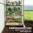Garden Greenhouse,Outdoor Greenhouse,Spacious Greenhouse-125113349