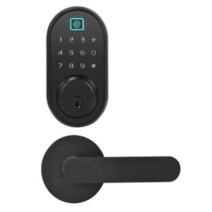 Serrures de porte intelligentes et électroniques avec empreinte digitale (WIFI) avec leviers de porte