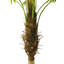 150cm Faux Palm Tree in Pot