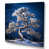 Toile tendue