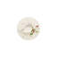 Brillance Fleurs Sauvages Bone China Saucer