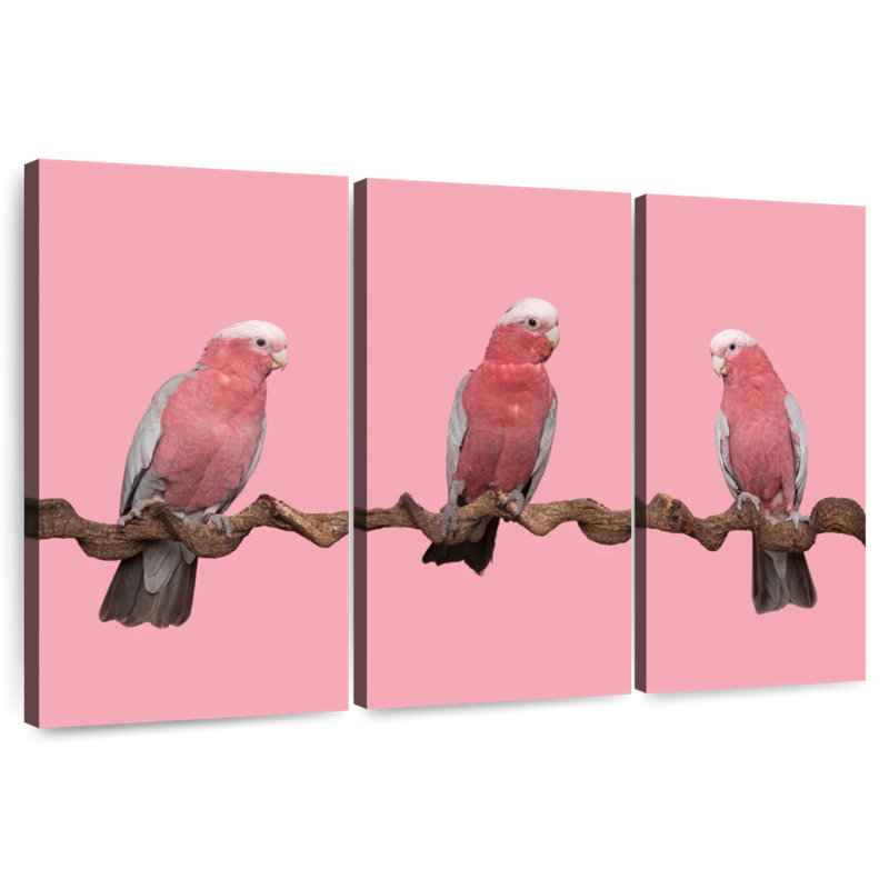 Trois oiseaux, H 48 po x l 74 po