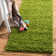 Santoshi Performance Indoor Rug