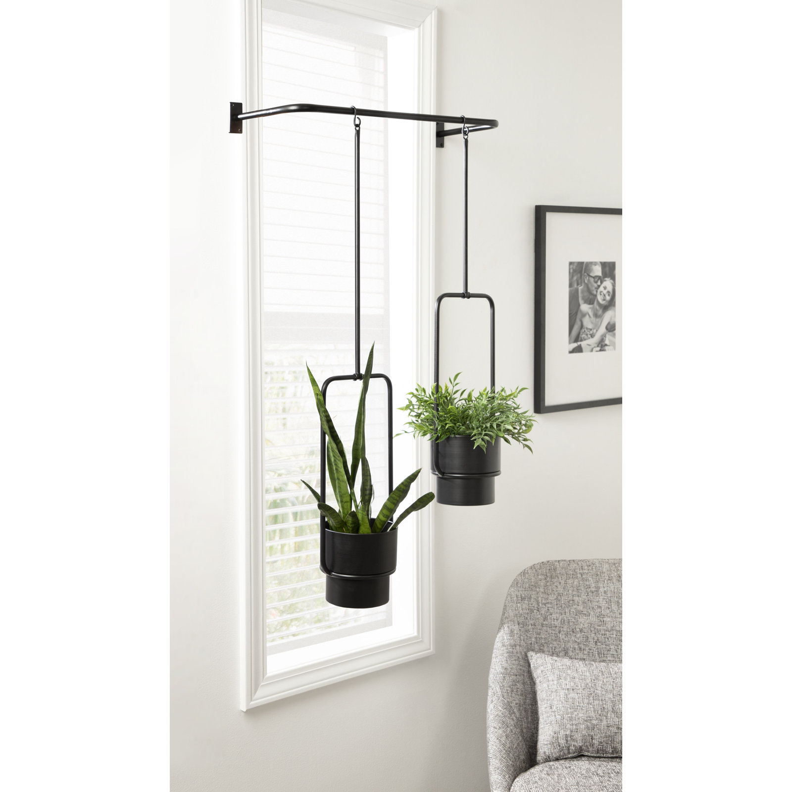 Clemensia 24" Hanging Planter, Black