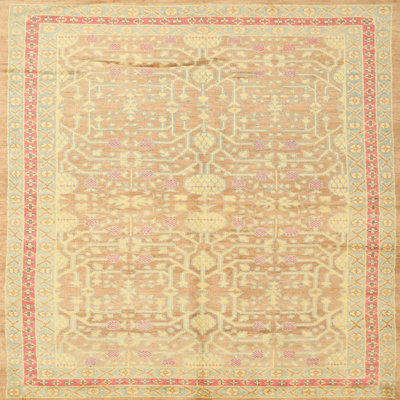 Oriental Indoor Rug