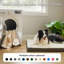 Lit orthopédique pour chien - Housse imperméable pour animal en mousse avec caisse lavable amovible-112243860-113300379