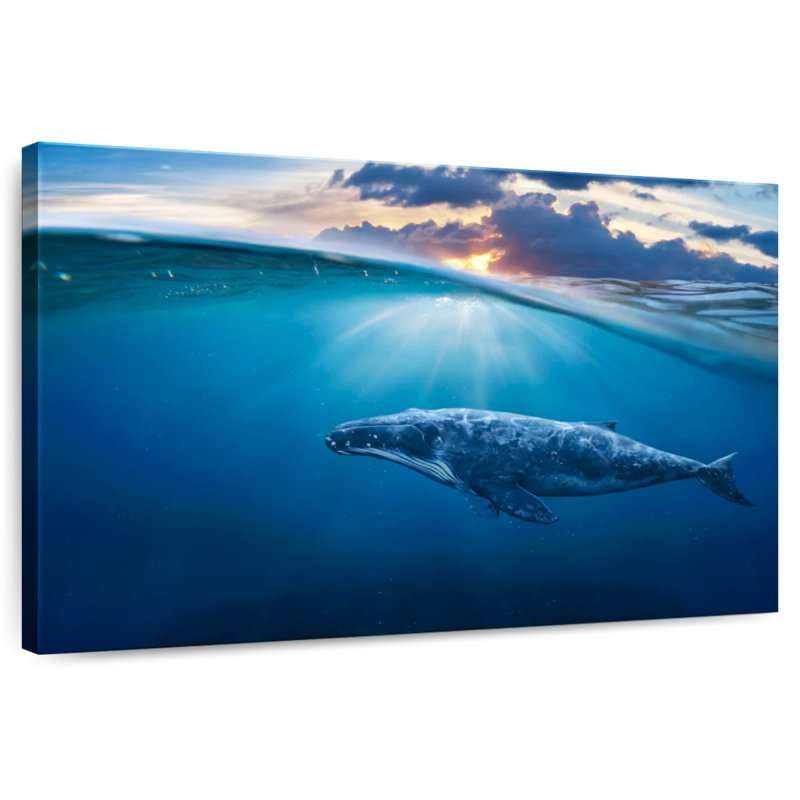 Aletra Whale Underwater, 30" H x 45" W
