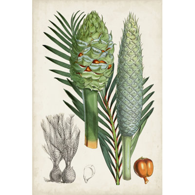Sago Palms I 1 Piece Wrapped Canvas Wall Art