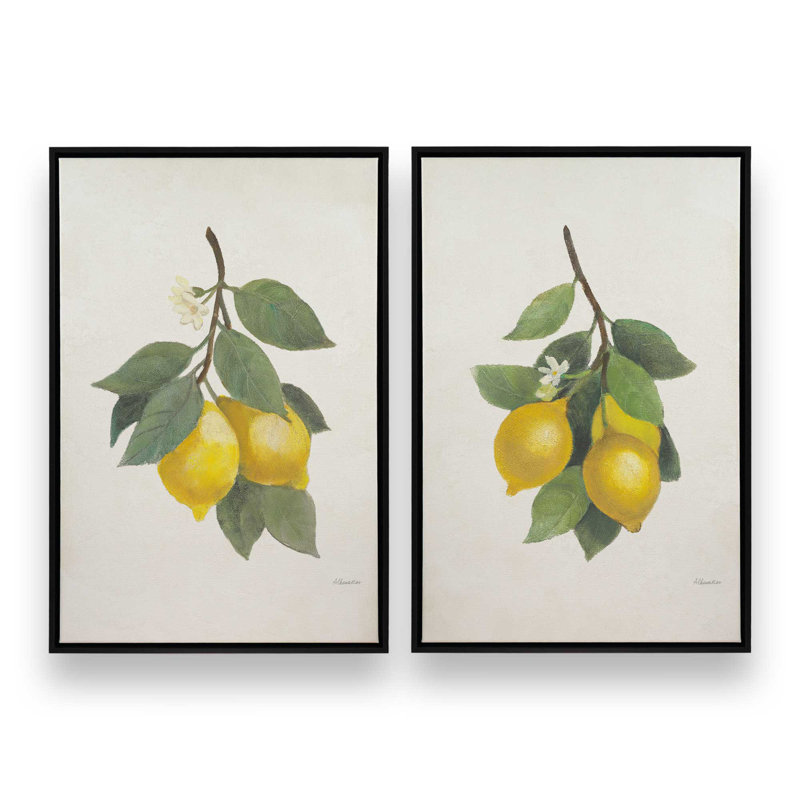 «Lemon Harvest», ensemble de 2, reproduction sur toile, Cadre flottant noir satiné, H 18,75 po x l 12,75 po x P 1,75 po