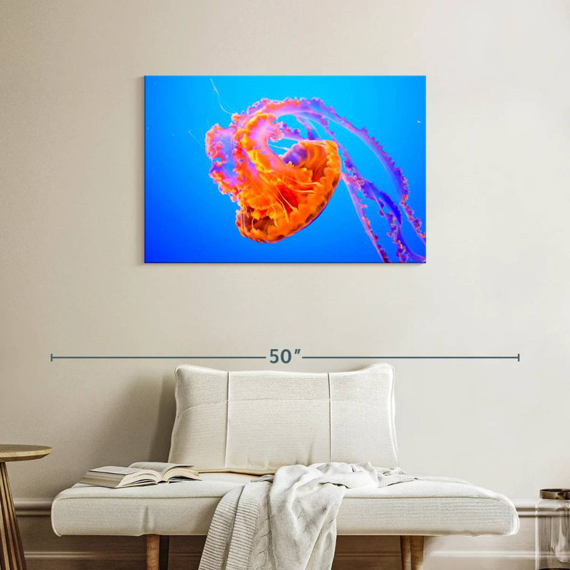 Brampt Jellyfish Somersault, 24" H x 36" W