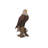 Bald Eagle on Stump Statue-23542753