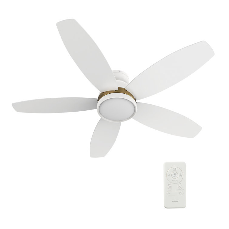 48'' Ellie-Elizabeth Smart DC Ceiling Fan with Light, Remote control