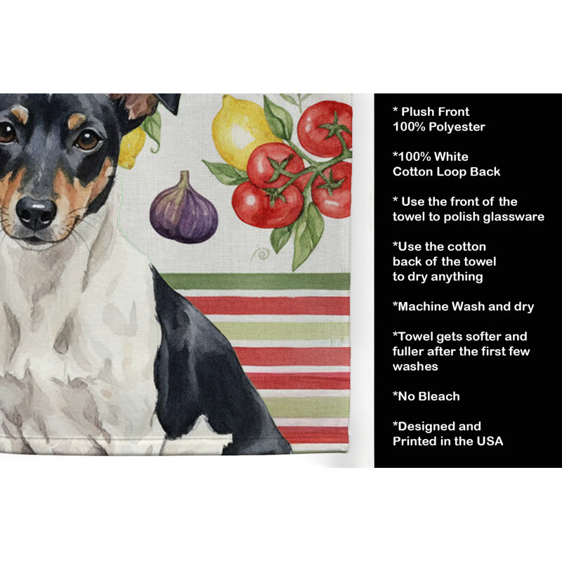 Torchon noir et blanc Rat Terrier, Black/White Rat Terrier
