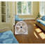 Ventilateur de plancher