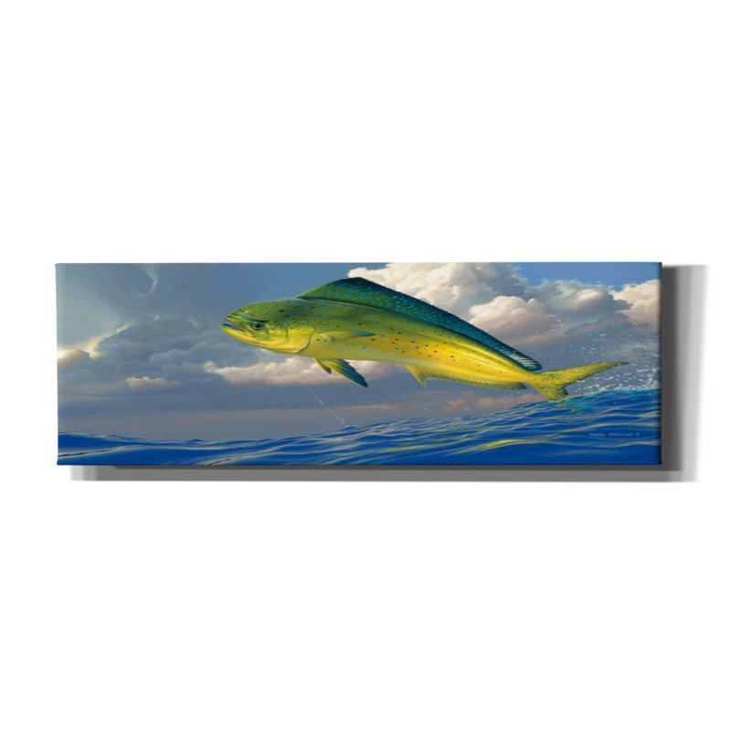 «Cadeshia Chicken Fight - Mahi Mahi on Canvas» par Mark Mueller, reproduction d'art animalier, H 12 po x l 24 po x P 0,75 po