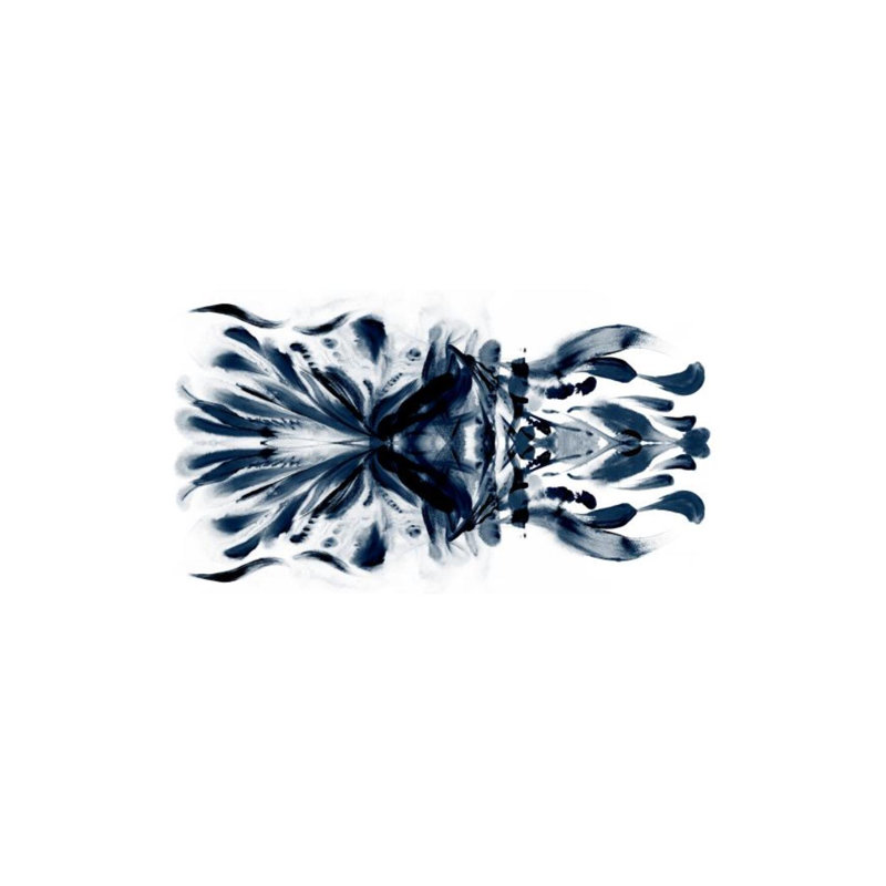 Metamorphosis Print by Guseul Park, 40" H x 80" W, Glass Coat