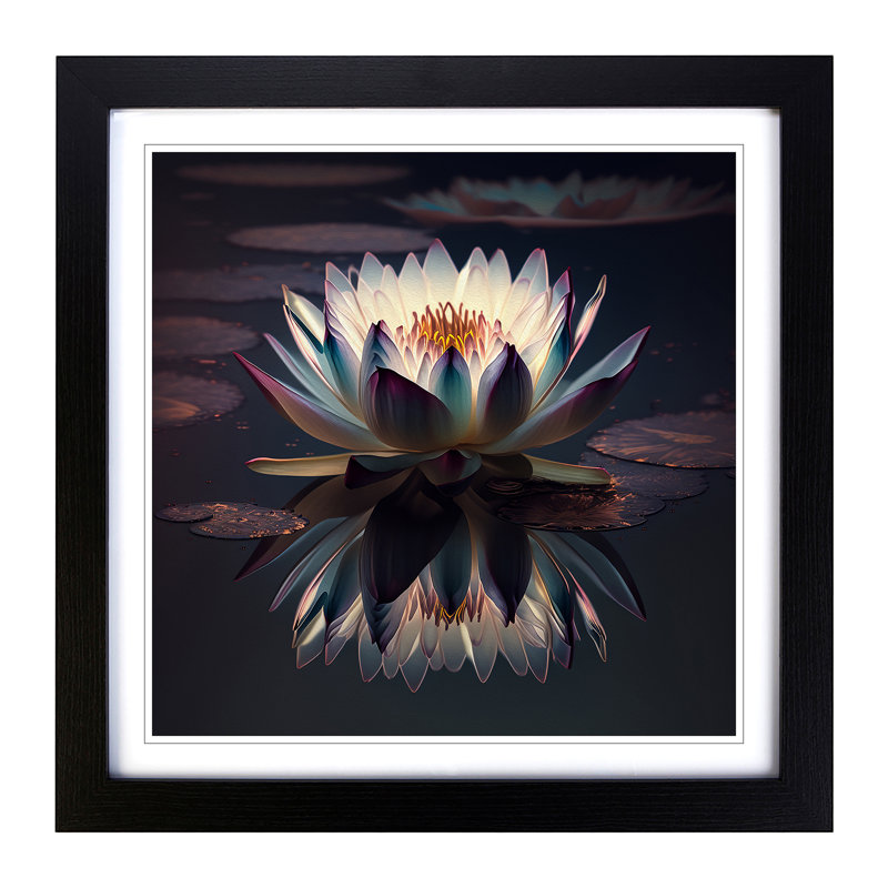 Water Lily Flower - Framed Print, Black
