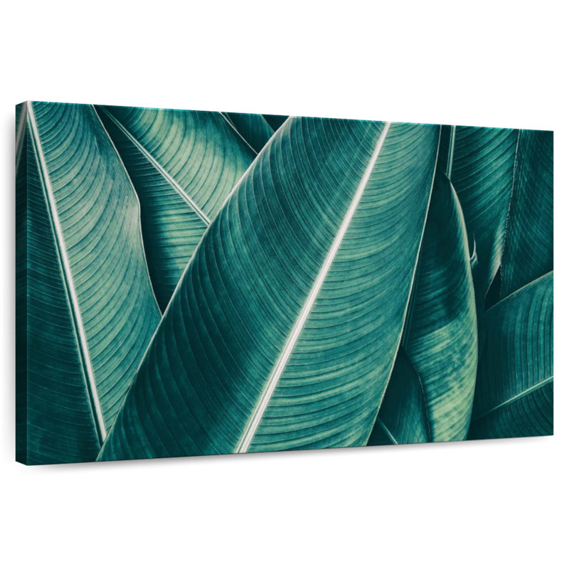 Captures de feuilles de bananier Harnek, H 16 po x l 24 po